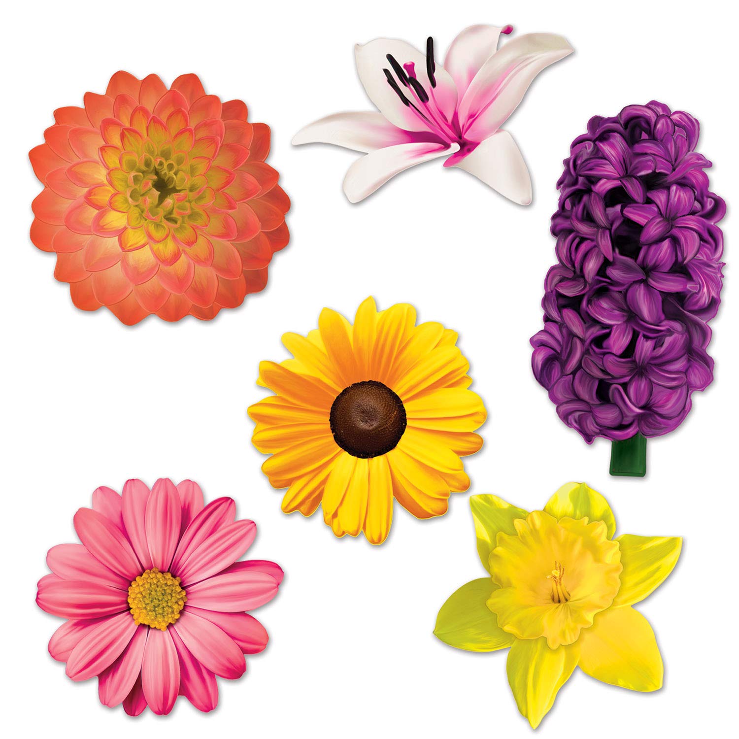 Amazon.com: Beistle Flower Cutouts, 12 Piece, 11